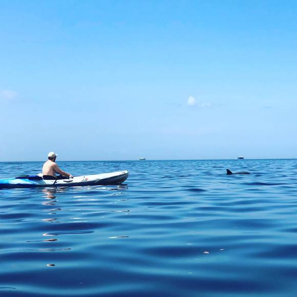 Meet your Posher, Matt - Picture 1 of 1